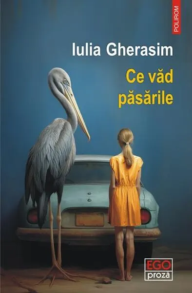 Ce văd păsările - Paperback brosat - Iulia Gherasim