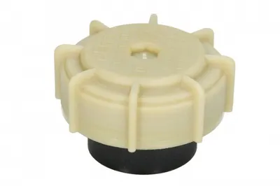 Buson vas expansiune (M62x3) potrivit MERCEDES CITARO (O 530), CONECTO (O 345) M476.930-OM909.921 01.98