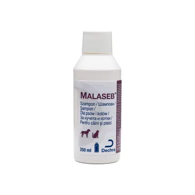 Malaseb, Sampon antimicotic pentru caini si pisici, Pachet 2 X 250ml