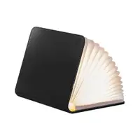 Decorațiune luminoasă neagră cu USB Booklight – Gingko