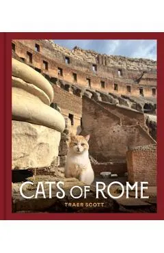 Cats of Rome