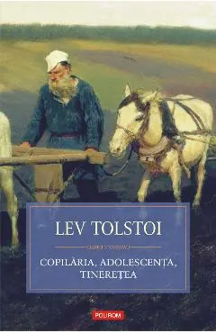 eBook Copilaria, adolescenta, tineretea