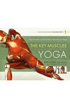 Key Muscles of Yoga: Your Guide to Functional Anatomy in Yog