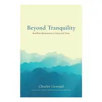 Beyond Tranquility: Buddhist Meditations In Essay(...)