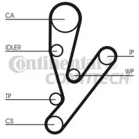 Set pompa apa+curea dintata CONTITECH CT1148WP1