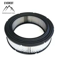 Filtru de Aer Briggs&stratton Vanguard 692519 Everest
