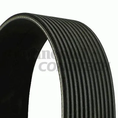 Curea transmisie cu caneluri CONTITECH 12PK1815