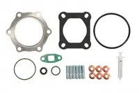 Set montaj turbocompresor potrivit MAN E2000, F2000, LION S CITY, LION S COACH, LION S STAR, SU, TGA; MAZ 200; NEOPLAN CENTROLINER D2866LF23-D2876LOH21 09.90-