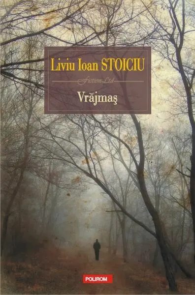 Vrăjmaş - Paperback brosat - Liviu Ioan Stoiciu