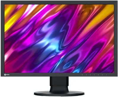 Monitor EIZO - ColorEdge CS2400S, 24.1'', WUXGA, IPS, Anti-Glare, USB hub, negru