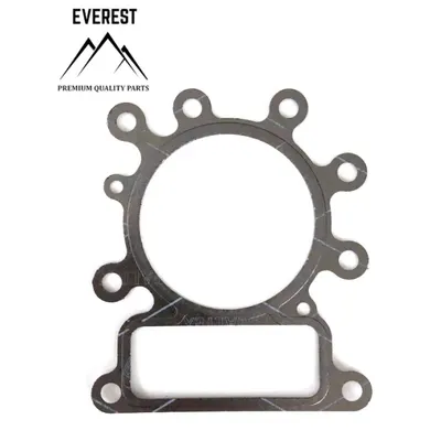 Garnitura Chiuloasa Briggs&stratton 10km-14km Ohv Avs Everest
