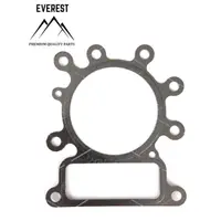 Garnitura Chiuloasa Briggs&stratton 10km-14km Ohv Avs Everest