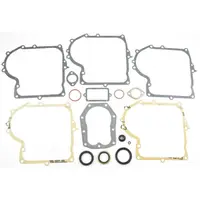 Set Garnituri Briggs&stratton 10km-13km