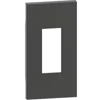 Placa pentru toti conectorii RJ45 si RJ11, 2 module Bticino Living Now KG07M2