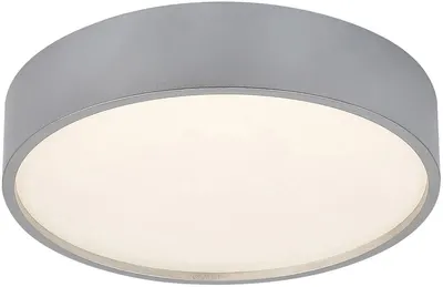 LED Plafon Rabalux - Larcia 75010, IP 44, 18 W, argintiu