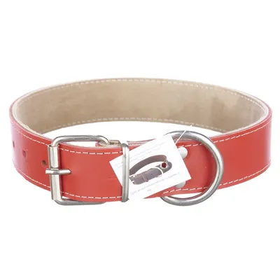 Zgarda din piele, rosie, pentru caini de talie medie si mare, 4 cm x 65 cm