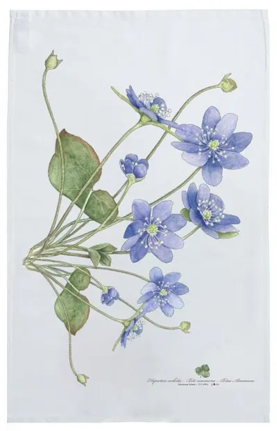 Prosop de bucătărie STOF – Anemone, 50 x 70 cm, multicolor