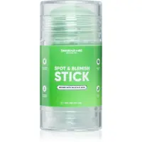 breakout + aid Spot & Blemish Stick masca faciala din caolin pentru pielea problematica 40 g