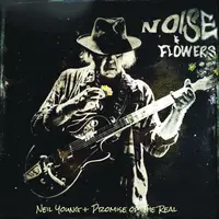 Noise and Flowers - Vinyl