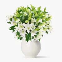 Buchet de 45 crini imperiali albi
