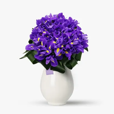 Buchet de 55 irisi mov