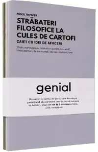 Set de 3 caiete geniale: Planuri de viata mai buna