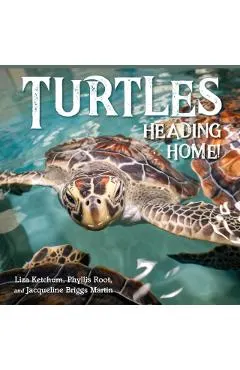 Turtles Heading Home!