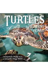Turtles Heading Home!