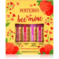 Burt’s Bees Bee Mine balsam de buze cu ceara de albine aroma Pomegranate, Strawberry, Dragonfruit Lemon, Watermelon 4x4.25 g