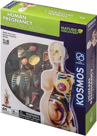 Set de asamblat pentru copii Thames & Kosmos - Anatomia sarcinii umane