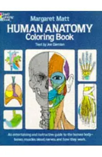 Human Anatomy