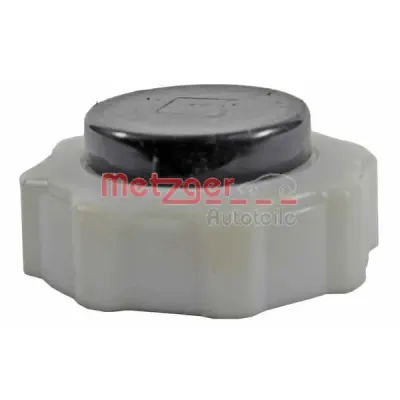 Buson, vas expansiune METZGER 2140105