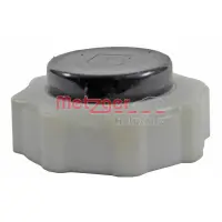 Buson, vas expansiune METZGER 2140105