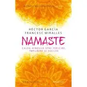 Namaste. Calea hindusa spre fericire, implinire si succes