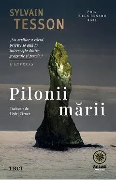 eBook Pilonii marii