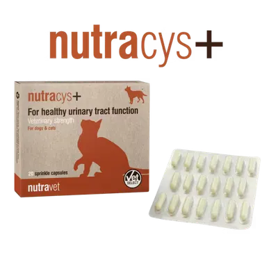Nutravet Nutracys+, Caini & Pisici, 20 capsule