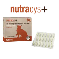 Nutravet Nutracys+, Caini & Pisici, 20 capsule
