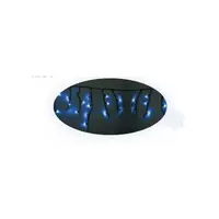 Turturi Extra TLE305-BW, 100 LED-uri albastre, 3,0X0,5 m, cablu alb
