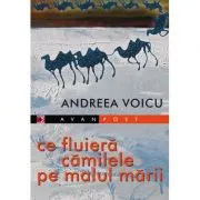 Ce fluiera camilele pe malul marii