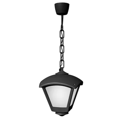 Dario 250 Garden Hanging Lamp 1xe27 Ip55 Black/clear