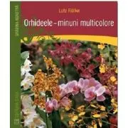 Orhideele, minuni multicolore