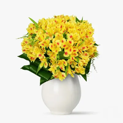 Buchet de 19 alstroemeria galbene
