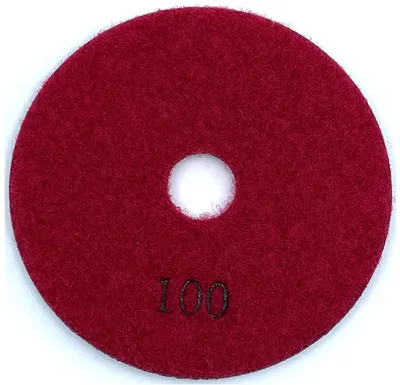 Paduri / dischete diamantate pt. slefuire uscata ECO #100 Ø125mm - DXDY.ECOPAD.125.0100
