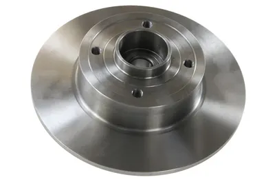 Disc frana DELPHI BG9028RS