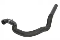 Furtun incalzire potrivit CITROEN JUMPY II; PEUGEOT EXPERT, EXPERT TEPEE 1.6D 01.07-