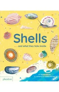 Shells... and What They Hide Inside: A Lift-The-Flap Adventure