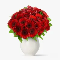 Buchet de 25 gerbera rosii