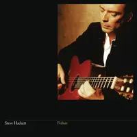 Tribute - Vinyl