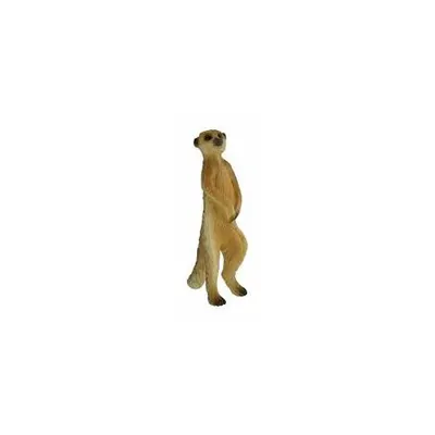 Meerkat