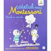 Caietul meu Montessori. Lucrul cu mainile
